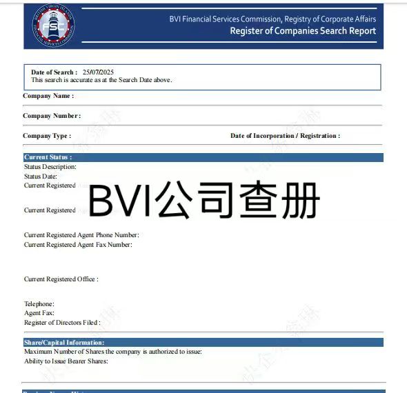 BVI公司線上查冊(cè)結(jié)果